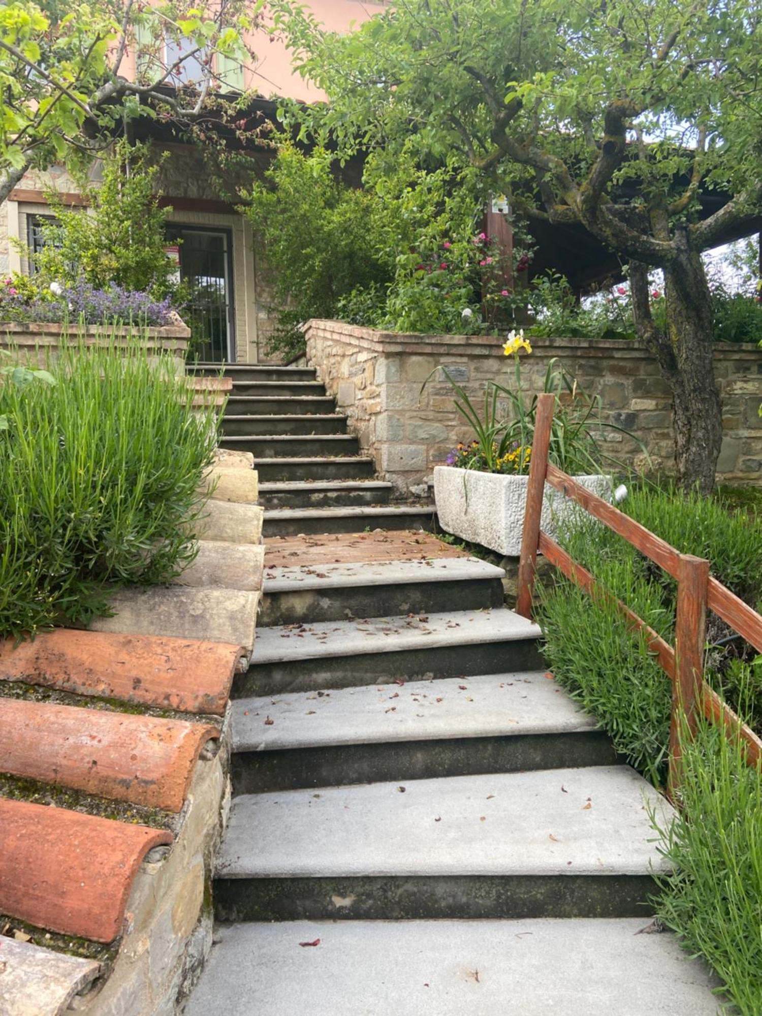 Agriturismo I Tassoni Villa Pavullo nel Frignano Dış mekan fotoğraf