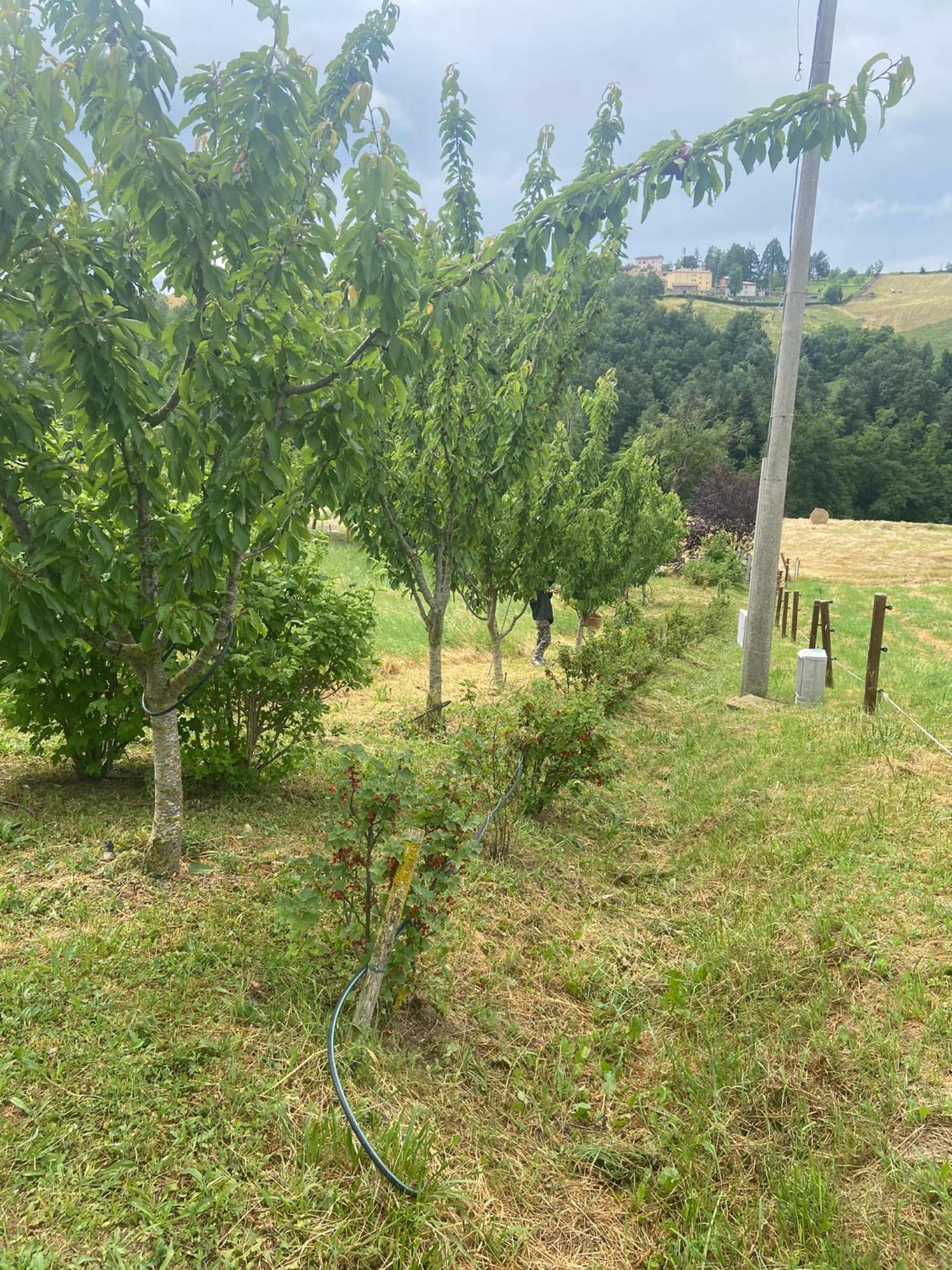 Agriturismo I Tassoni Villa Pavullo nel Frignano Dış mekan fotoğraf