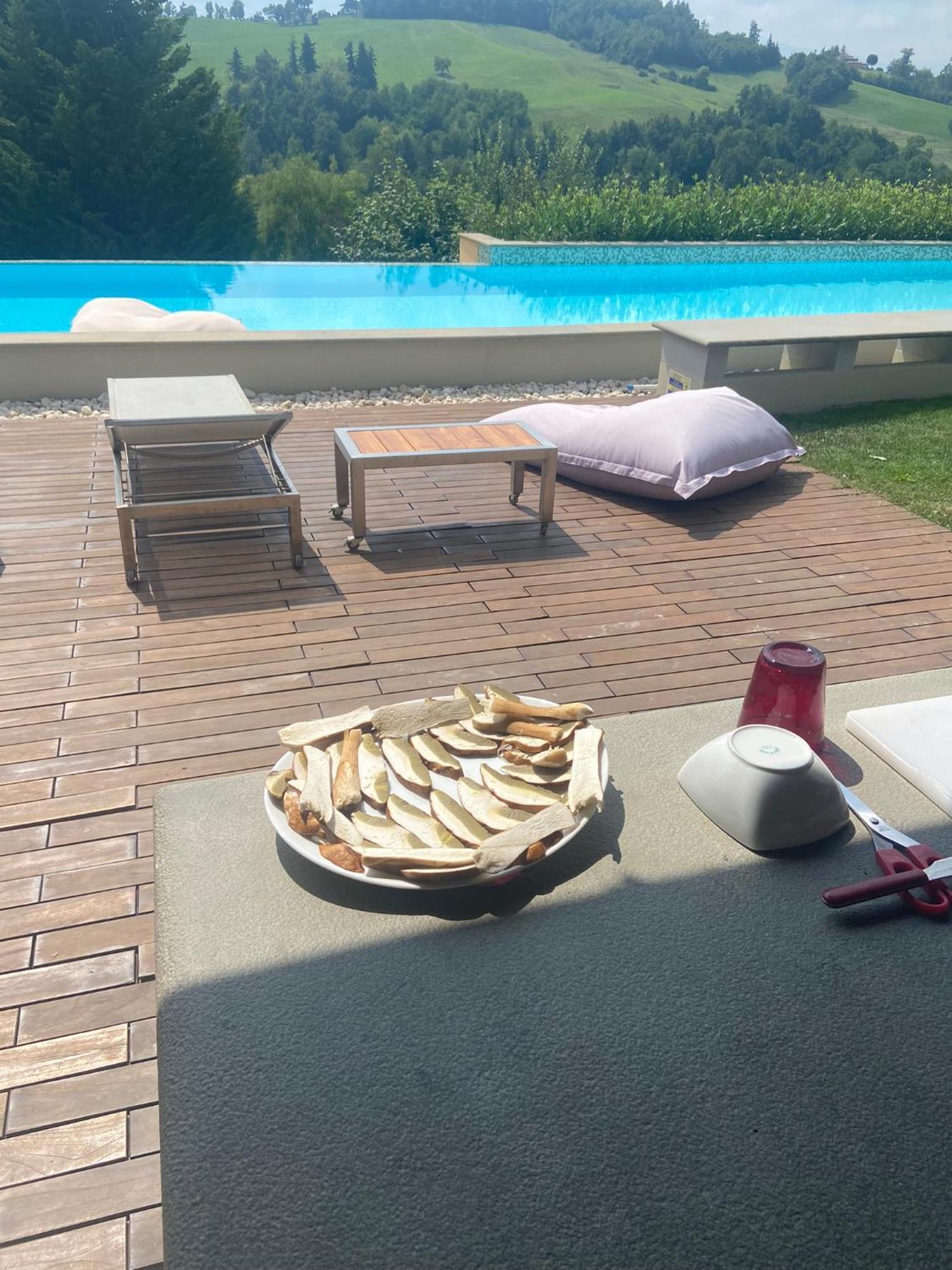 Agriturismo I Tassoni Villa Pavullo nel Frignano Dış mekan fotoğraf