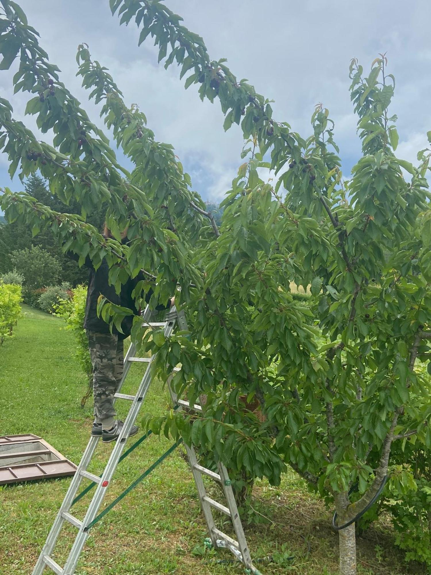 Agriturismo I Tassoni Villa Pavullo nel Frignano Dış mekan fotoğraf